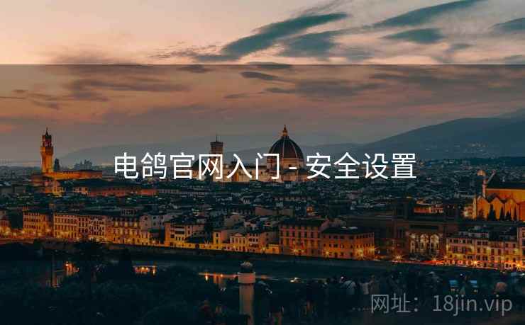 电鸽官网入门 - 安全设置