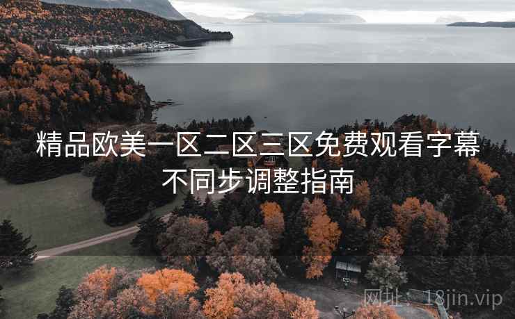 精品欧美一区二区三区免费观看字幕不同步调整指南