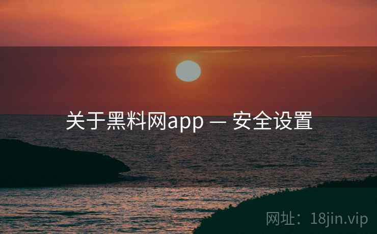 关于黑料网app — 安全设置
