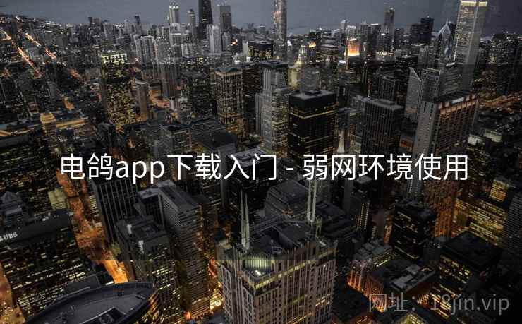 电鸽app下载入门 - 弱网环境使用