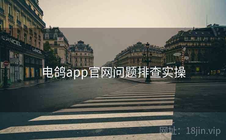 电鸽app官网问题排查实操