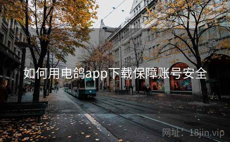 如何用电鸽app下载保障账号安全